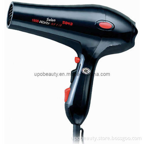 Professional Blow Dryer (5843)